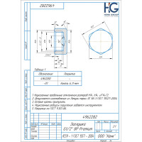 Заглушка BRASSCO Premium G1/2 ВР 4962282