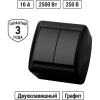 Выключатель 2 клавишный TDM ELECTRIC открытой установки IP44 10А графит "Селигер" SQ1818-0302