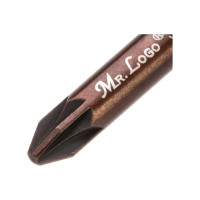 Бита (10 шт; 50 мм; PZ2; S2) Mr. Logo A050PZ2-10