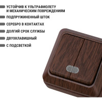 Выключатель TDM ELECTRIC 2-кл. открытой установки с подсветкой IP20 10А, бук, серия "Ладога" SQ1801-0030