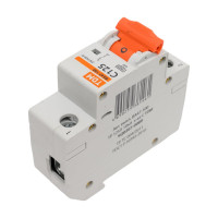 Автоматический выключатель TDM ELECTRIC ВА47-100, 1Р, 125А, 10кА, характеристика С SQ0207-0089