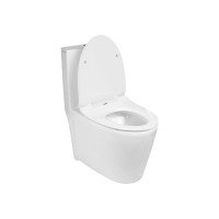 Унитаз-моноблок WeltWasser WW WELZBACH белый глянец 001 GL-WT 10000003805