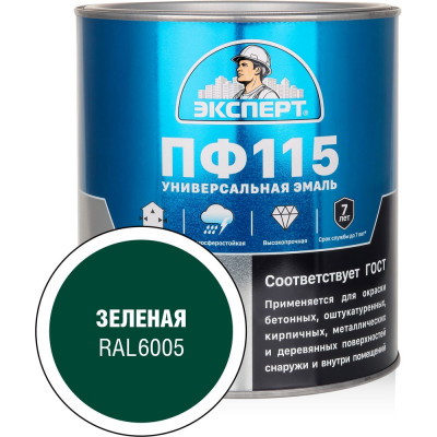 Эмаль Эксперт ПФ-115 глянцевая, зеленая, RAL 6005 2,7кг 34082