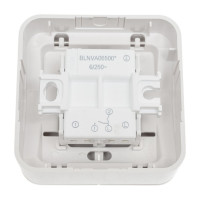 2-клавишный выключатель Systeme Electric Blanca наружный, Белый, 6А, 250В SE BLNVA065001