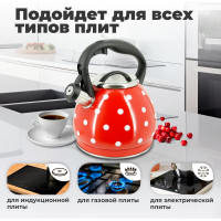 Чайник Pomi d'Oro со свистком, 3 л P-650189 Napoli