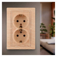 Двойная розетка Intro Plano с заземлением двойная 2x2P+E Schuko, 16А-250В, IP20, СУ, сосна Б0053922