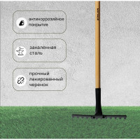 Прямые грабли с деревянным черенком ZINLER 12 зубьев, 1200 мм Z3.1H11 ГРП12Ч11