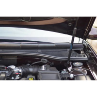 Накладка в проем стеклоочистителей PT Group Duster 2012-20/ NISSAN Terrano 20 RDU112102