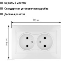 Двойная розетка, белая 2П 10А 250В TDM ELECTRIC Таймыр SQ1814-0013