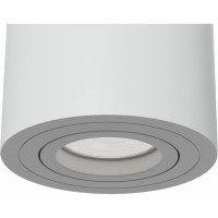 Потолочный светильник MAYTONI Alfa C016CL-01W