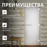 Дверь DoorWood сатин, 1900x700 мм