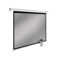 Настенно-потолочный рулонный экран CACTUS 138x220 см SIlverMotoExpert CS-PSSME-220x138-WT 16:10 белый 1195477