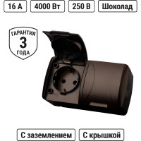 Розетка TDM ELECTRIC двойная 2П+3 открытой установки IP54 16А с крышкой шоколад "Селигер" SQ1818-0214