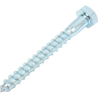 Сантехнический шуруп SWFS 8х70 50шт тов-019136