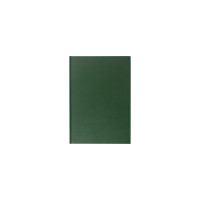 Книга учета BRAUBERG 96л, клетка, твердая, А4, 200х290мм, зеленая 130222