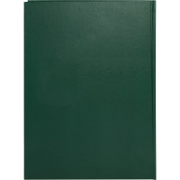 Книга учета BRAUBERG 96 л, клетка, твердая, бумвинил, офсет, герб, А4, 200x290 мм, зеленая 130277
