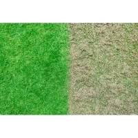 Ryobi ONE+ Бесщеточный скарификатор аэратор RY18SFX35A-240 5133004549