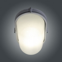 Светильник ЭЛЕТЕХ Банник 1201 Овал большой НПП 03-100-017 IP65 матовый /корпус белый ИУ 1005501074