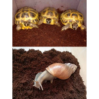 Кокосовый субстрат ГеоПластБорд брикет 70 л, грунт для растений, коричневый 72150