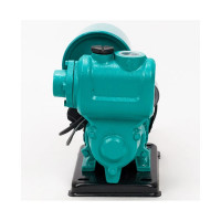 Насосная станция с расширительным баком TAIFU TGP125