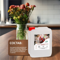 Дезинфицирующее средство для поверхностей, инструментов, пола, воздуха КЕНАЗ плюс без хлора, гипоаллергенное, 5 л 809820