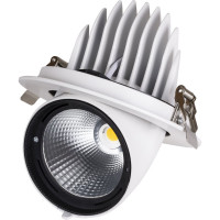 Светильник встраиваемый поворотный "Акцент-1" LED DSL-01-040-NW 40 Вт, 24°, 4000 К, 90 Ra, IP40 TDM ELECTRIC SQ0369-0405