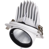 Светильник встраиваемый поворотный "Акцент-1" LED DSL-01-040-NW 40 Вт, 24°, 4000 К, 90 Ra, IP40 TDM ELECTRIC SQ0369-0405