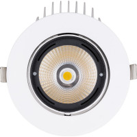 Светильник встраиваемый поворотный "Акцент-1" LED DSL-01-040-NW 40 Вт, 24°, 4000 К, 90 Ra, IP40 TDM ELECTRIC SQ0369-0405