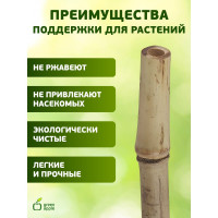 Бамбуковая поддержка GREEN APPLE GBS-10-90 90 см, 10 мм, 5 шт Б0008336