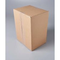 Картонная коробка PACK INNOVATION гофрокороб 24x18x14 см объем 6 л 50 шт IP0GK241814-50