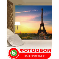 Фотообои Студия фотообоев Эйфелева башня, 200x270 см, 2 полотна 1201102