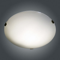 Настенно-потолочный светильник ЭЛЕТЕХ Искры 250 НПБ 01-60-130 М15 проз. /кл.штамп металлик ИУ 1005404768