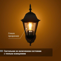 Светильник уличный четырехгранник TDM ELECTRIC, 60Вт, вверх, черный SQ0330-0021