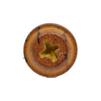 Саморез Daxmer пшс м 4,2x16 500 шт., темный дуб 346324