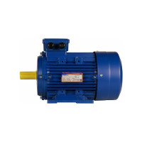 Электродвигатель 5АИ 100 L6 2.2/1000 IM 1081 01.01.213619