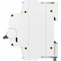 Автоматический выключатель EKF 4P, 100А, 10kA, ВА47-100, PROxima mcb47100-4-100C-pro