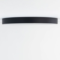 Светильник с пультом Citilux Купер LED RGB Чёрный CL724105G1