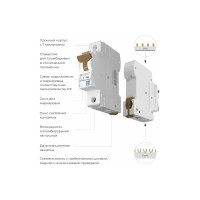 Автоматический выключатель WERKEL 1p 20A C 4,5кА a062488