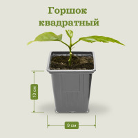 Горшок квадратный формованный UOKSA 0,55 л, 9х9см, 10 шт 1374