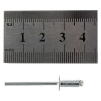 Заклепка вытяжная Госкреп ал./ст. 4,0x10 100 шт 8-0010600