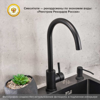 Смеситель для кухни РМС SUS124BL-017F