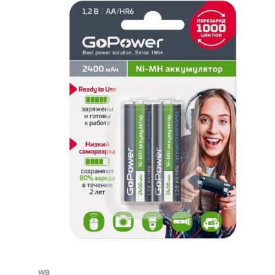 Предзаряженный аккумулятор GoPower RTU 00-00018320