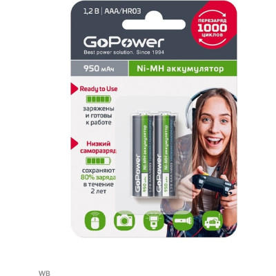 Предзаряженный аккумулятор GoPower RTU 00-00018321