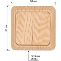 Двухклавишный выключатель TDM ELECTRIC открытой установки, IP20 10А сосна Ладога SQ1801-0044
