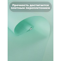 Однотонная рулонная штора Peora лайм 52х160 см 71129