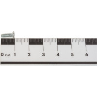 Резьбовыдавливающий винт ЦКИ DIN7500M М3х10 Ц TX10 уп. 1000 шт. 63756