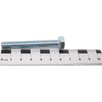 Болт SWFS DIN933 М8х60, 75 шт. тов-141729