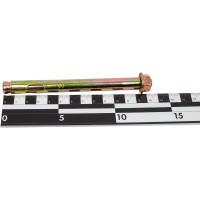 Анкерный болт с гайкой SWFS 12х130, пакетик тов-111713