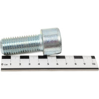 Винт ЦКИ DIN 912 М20x45 8.8 Ц., HEX 17 2 шт. 3961