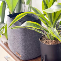 Увлажнитель воздуха традиционный Stadler Form Karl, без белого налета с функцией умного дома Smart Home, K-004